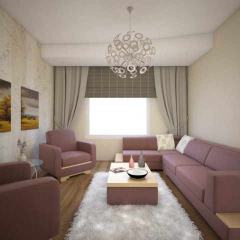 vray1